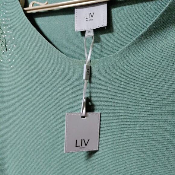 NWT LIV Milano Embroidered Studded Fairy Lagenlook Artsey Sweater Sage Green 3X - Picture 7 of 10